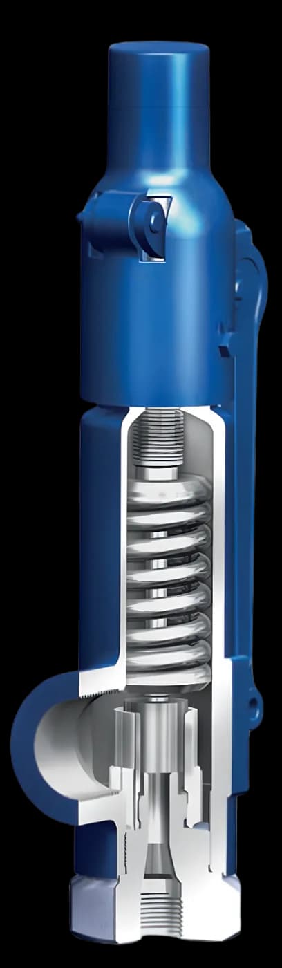 ARI-REYCO RL Safety Relief Valve
