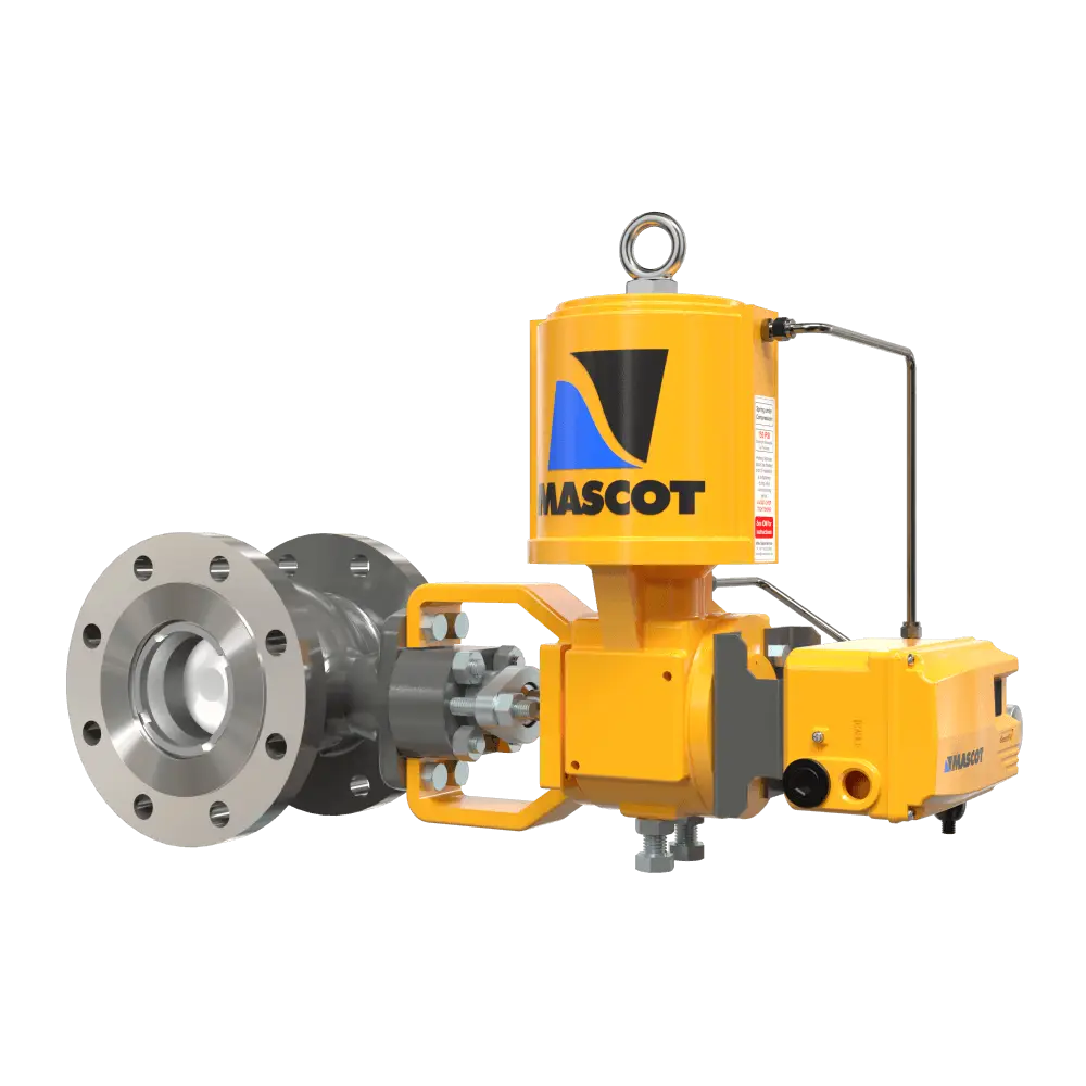 EFlo™ Eccentric Plug Valve