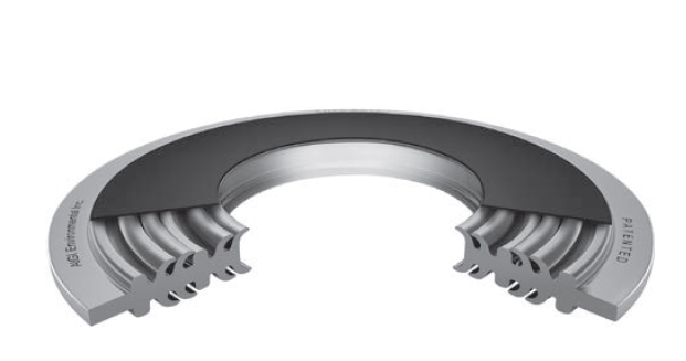 Aigi – Fishbone Gasket