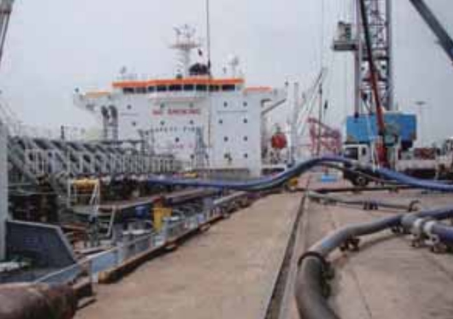 Dolphinflex – Blue Composite