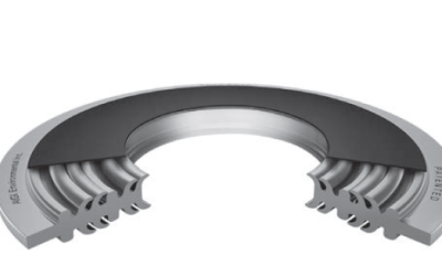 Aigi – Fishbone Gasket